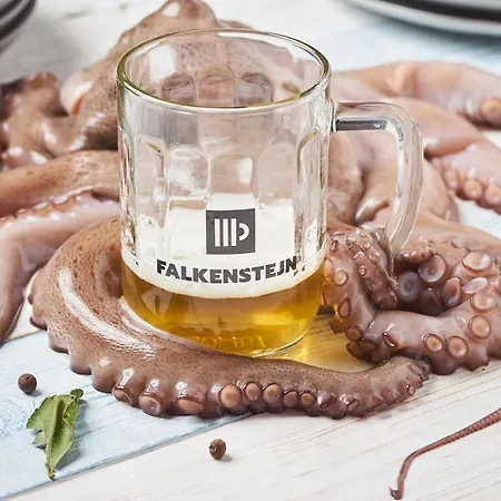 게스트하우스 Pivovar Falkenstejn *